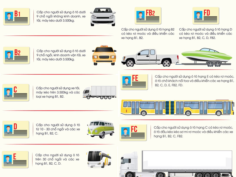 Các loại giấy phép lái xe ô tô
